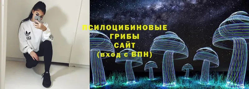 дарнет шоп  Северск  Псилоцибиновые грибы MAGIC MUSHROOMS 